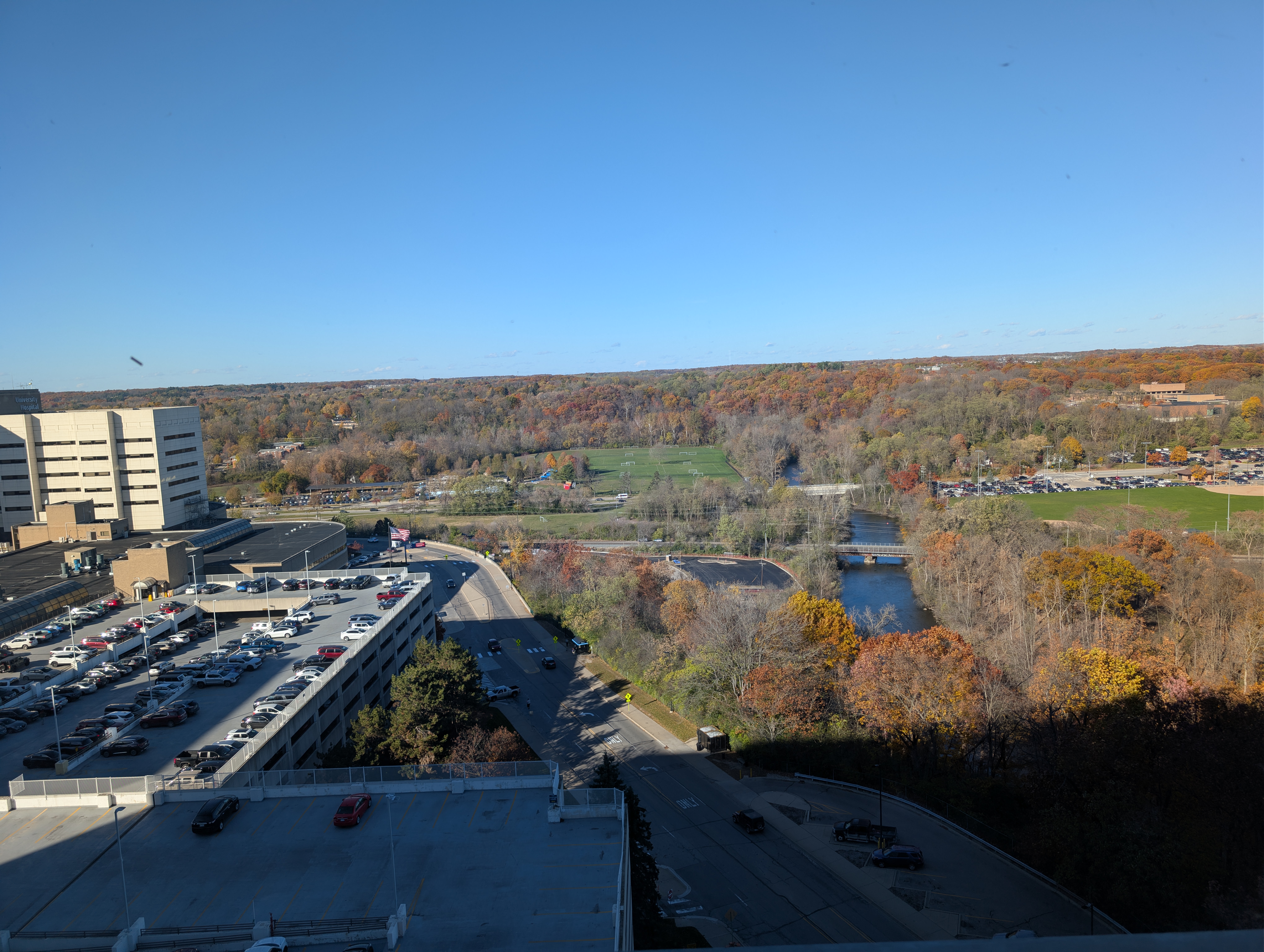 Alicia's final view - woods for miles and miles beyond the hospital tower